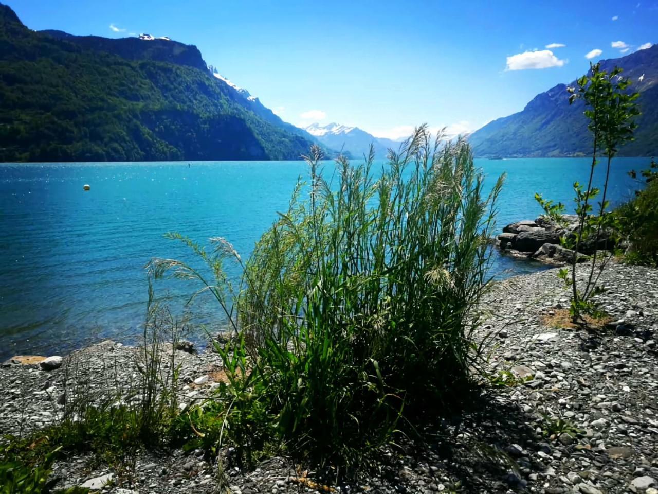 Gemuetliche Fewo Mit Sauna Inmitten Der Berge Мейринген Экстерьер фото