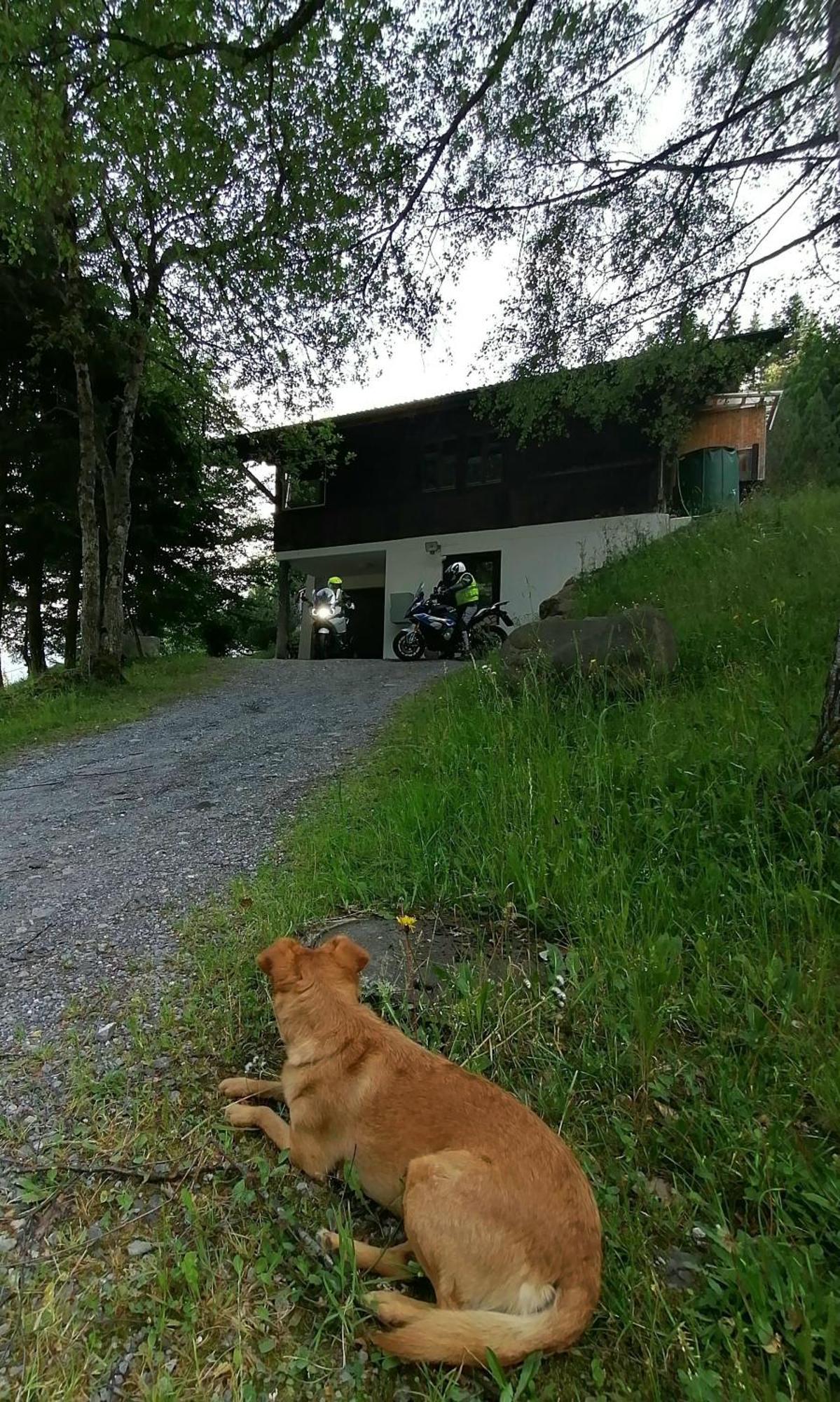 Gemuetliche Fewo Mit Sauna Inmitten Der Berge Мейринген Экстерьер фото