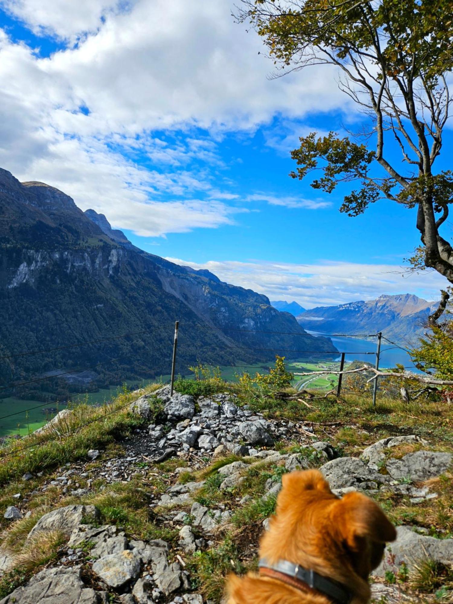 Gemuetliche Fewo Mit Sauna Inmitten Der Berge Мейринген Экстерьер фото